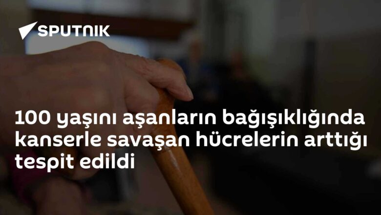 kanserle mücadele eden hücreler