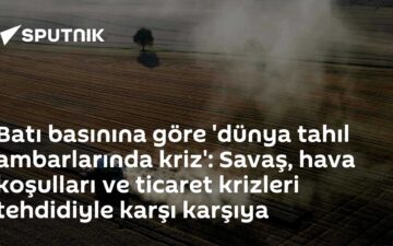 tahıl krizi