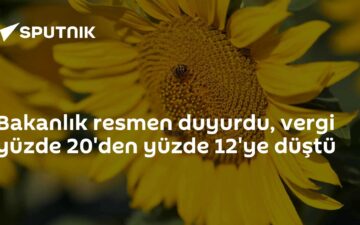 ayçiçeği yağı