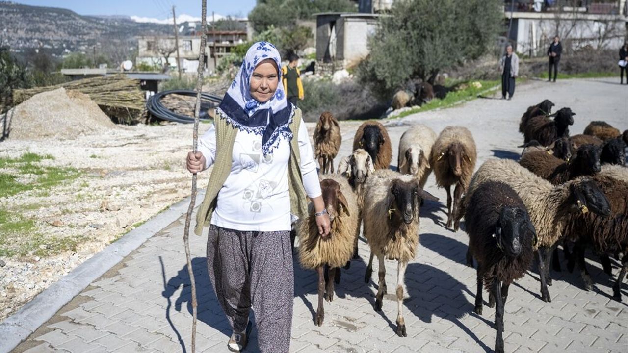 Yüksek Rakımlarda