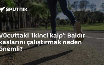 Baldır kasları