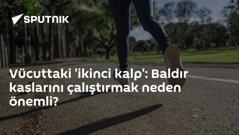 Baldır kasları