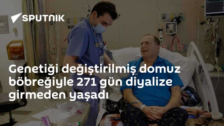 domuz böbreği nakli