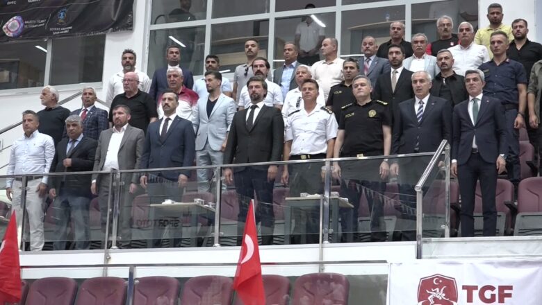 Uluslararası güreş